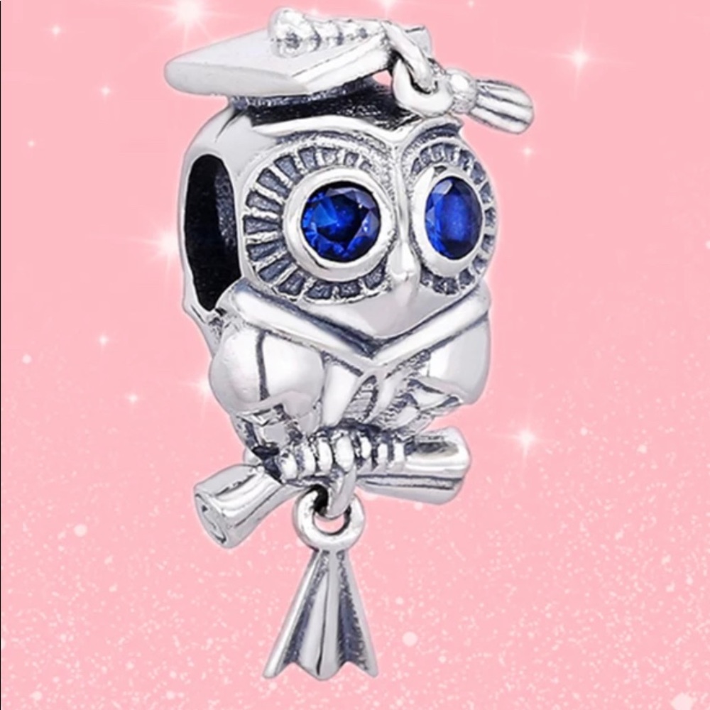 Graduation wise owl charm